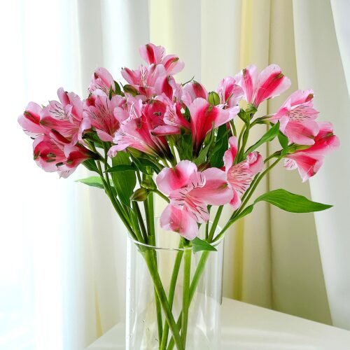 알스트로메리아 5송이 생화 꽃 택배 꽃다발 양재꽃시장 꽃배달 싼곳 선물