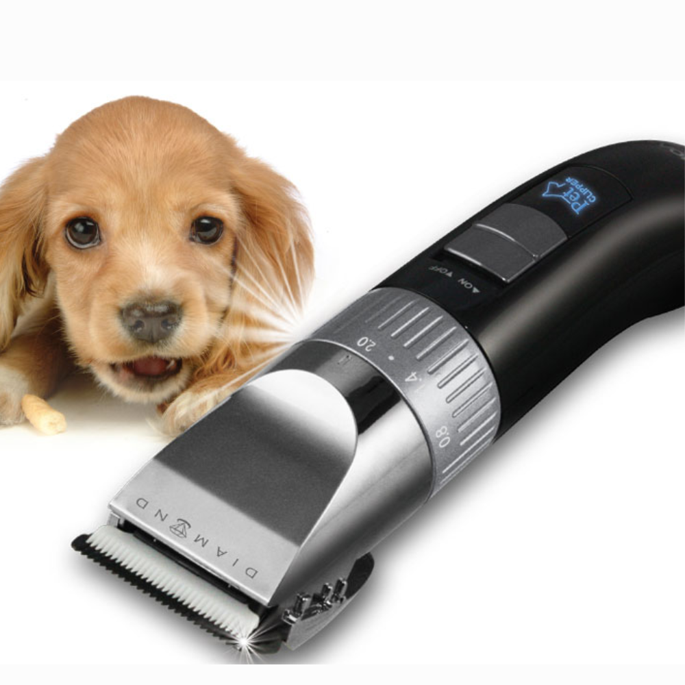 매번 5만 원씩 깨지는 애견 미용실 비용이 부담되는 견주必! 2026년형 저소음 반려동물 이발기 똑똑한 활용법