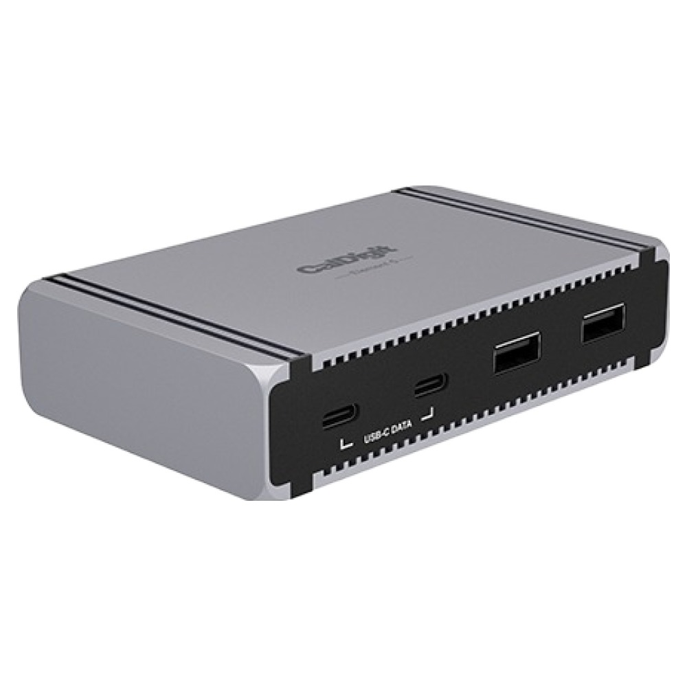 썬더볼트독 2위