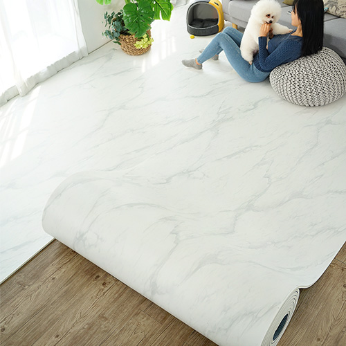 [걱정 끝!] 슬개골 탈구가 고민인 포메라니안, 말티즈 견주必 강아지 미끄럼 방지 실내 매트, 써보니 삶이 바뀌었다?